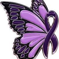 Fundraising Page: Heather Chizzo